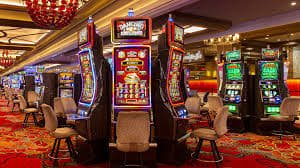 coelho slot